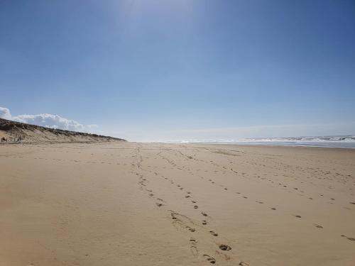 Superbe appartement au coeur du Cap-Ferret