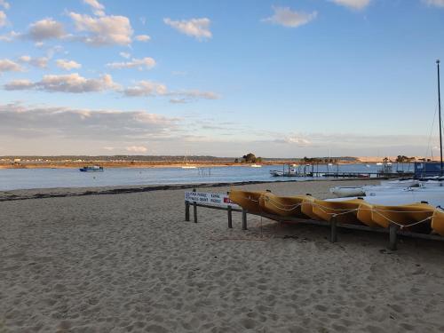 Superbe appartement au coeur du Cap-Ferret