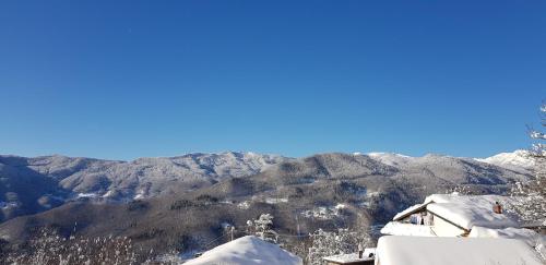 Agriturismo il Fosso gîte à louer Serralta