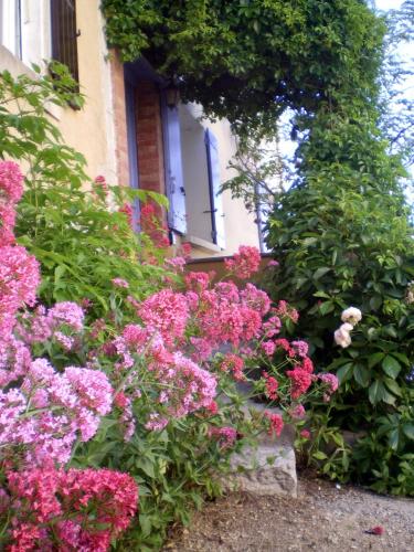 Les Valérianes - Location saisonnière - Sablet