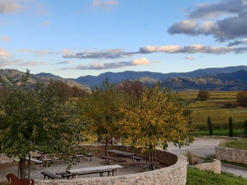 ทัศนียภาพ, Privatweingut Schmidt in ไฮเทอร์ไชม์