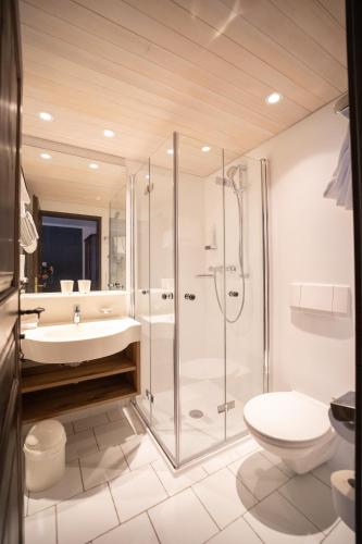 Altstadthotel Stadtkrug Room Type - Small Double Room with Air-Con