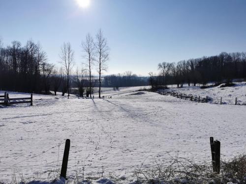 De Groene Hoeve