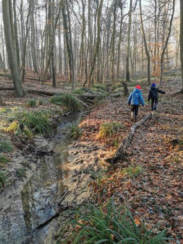 De Groene Hoeve