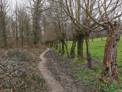 De Groene Hoeve