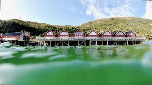 Lofoten Basecamp - image 3