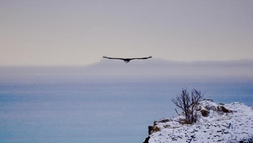 Lofoten Basecamp - image 8