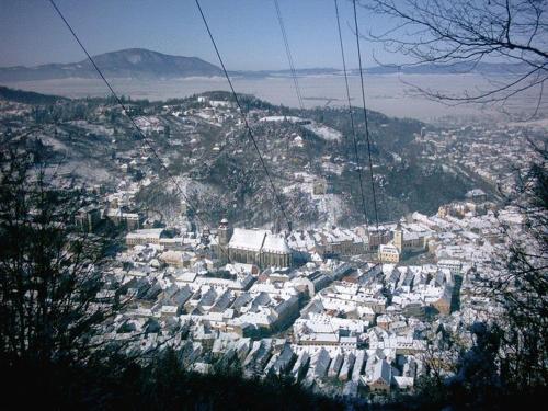 Suri Guesthouse - image 4