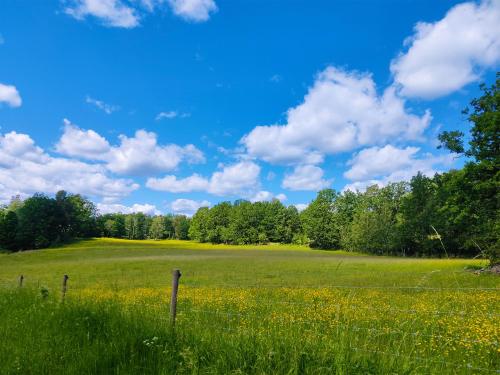 Peaceful nature retreat