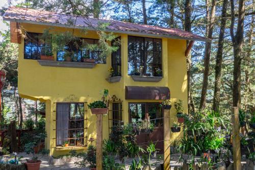 Los Naranjos Town Houses in Los Naranjos