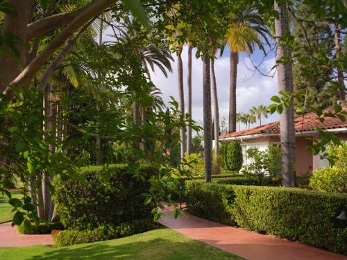 34544046 The Beverly Hills Hotel - Dorchester Collection