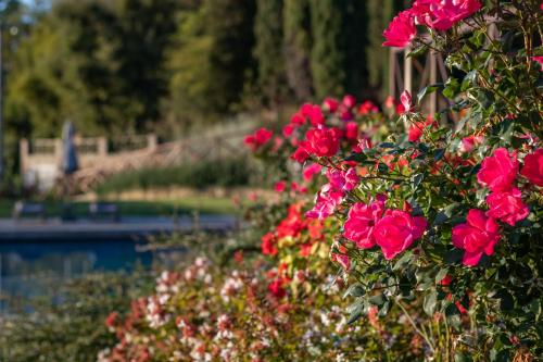 Chimera Tuscany Resort