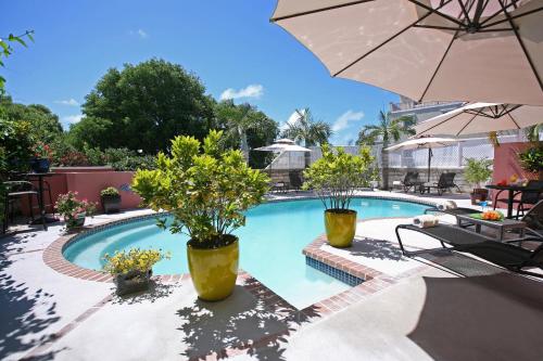 游泳池, 棕櫚皇家酒店 (Royal Palms Hotel) in 哈密爾頓