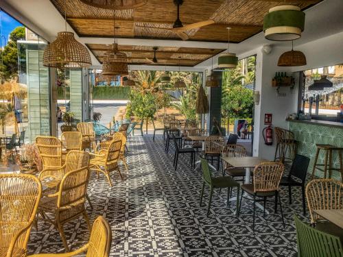 Los Olivos Apartment Cullera - image 3