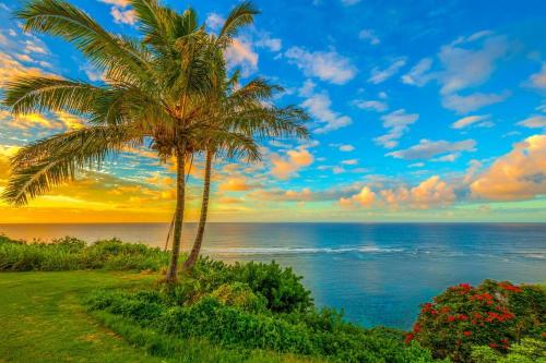 Hale Mauna Nui home - image 7