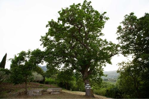 Equiturismo San Lorenzo