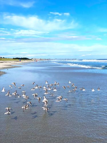 Ocean Acres Ogunquit - 해변