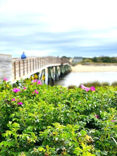 Ocean Acres Ogunquit - 해변