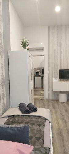 Pompár Belvárosi Apartman - image 4