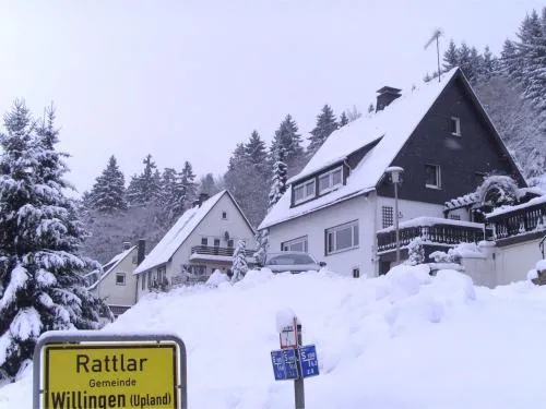 Wohnung bei Willingen für Wintersport in Willingen, Deutschland