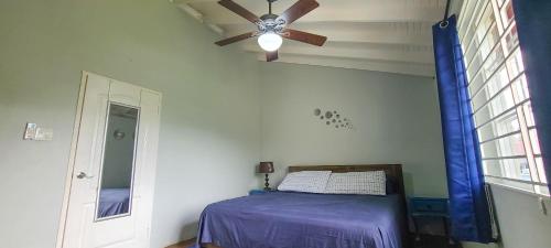 Cheerful 2 - Bedroom Townhouse with free parking in New Kingston, Kingston (fotografie 7)
