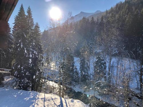 Chalet en pleine nature avec 2 appartements pour 6 ou 8 qui peuvent être réunis en 1 pour 14 personnes - Apartment - Saint-Gervais-les-Bains