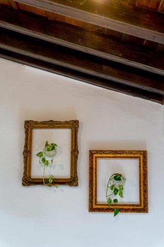 Casa Ispal Alfalfa – Seville, KY