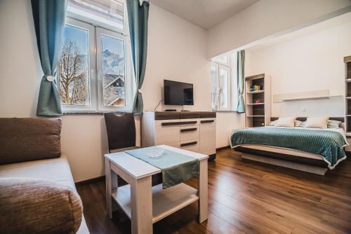 Studio CENTER - Apartment - Zgornje Jezersko