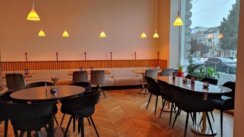 酒吧/高級酒吧, 康坎迪亞酒店 (Hotel Concordia) in 特爾古穆列什