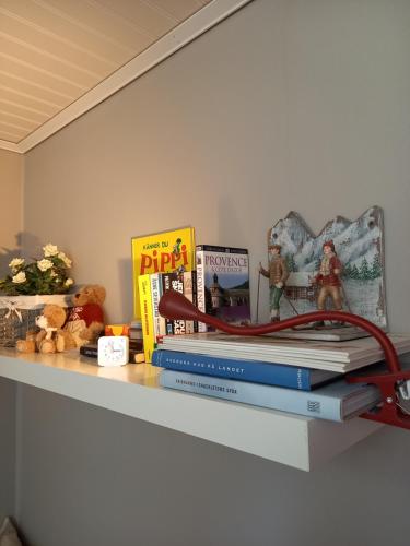 Mysig lagenhet med fjallutsikt i Salen in Salen