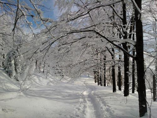 สภาพแวดล้อมโดยรอบ, Landhaus Laih in กราเฟเนา