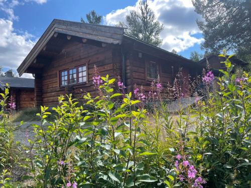 Måsåplassen Friisvegen Mountain Lodge