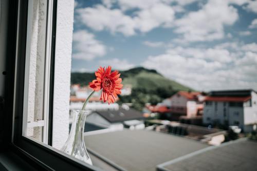 周邊環境, E&B Apartments Korb bei Waiblingen & Stuttgart in 科布