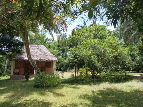 Skats, Onja Surf Camp in Mahambo