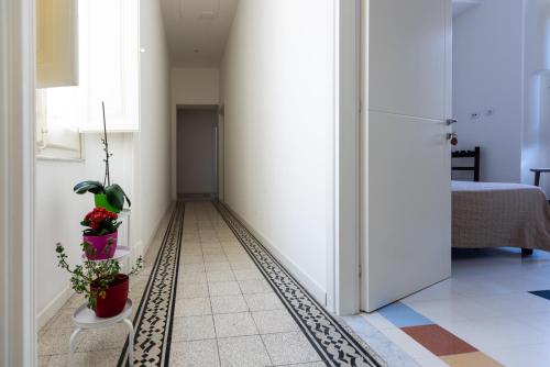 B&B Angioy 18 - image 13