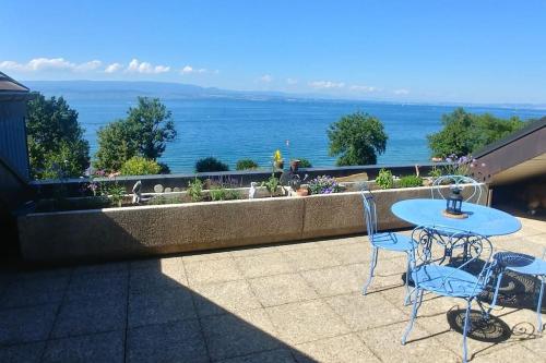 Lakefront. Appartement pieds dans l'eau. View and direct access to the lake. - Apartment - Anthy