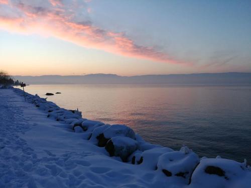 Lakefront. Appartement pieds dans l'eau. View and direct access to the lake. in Anthy-sur-Leman