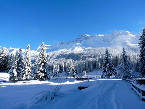 Zuhause in den Alpen Ihre Ferienwohnung mit Hallenbad und Sauna, Lenzerheide (foto 5)