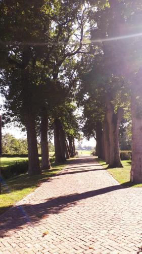 B&B De Herenboer