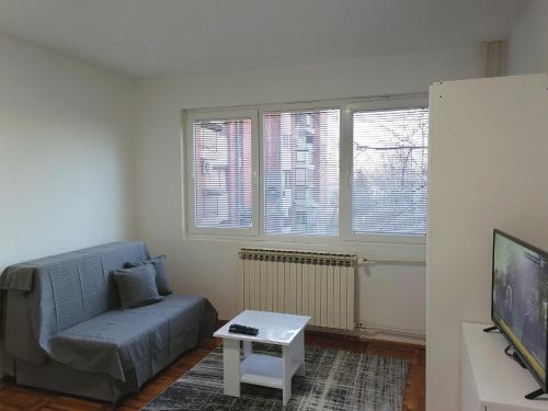 Apartman Radulović
