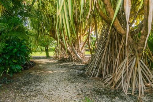 Aroha Taveuni