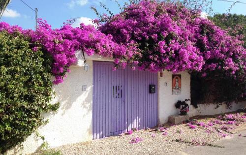  Room in Guest room - Tara Casa, house of mosaic art, single room 2, Pension in La Magdalena