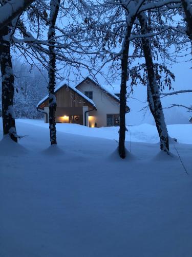 Loft Naturalpina Dolomiti Farm