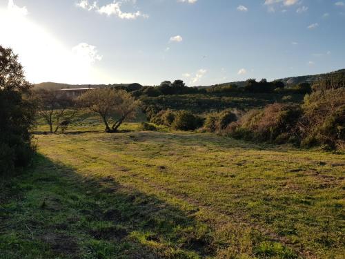 Aldo Countryside – Arzachena, NJ