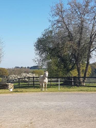 Maison avec vue gîte à louer Bois du Lezay