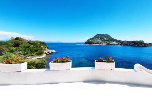 B&B Al Mirà chambre d'hôte Monte di Procida