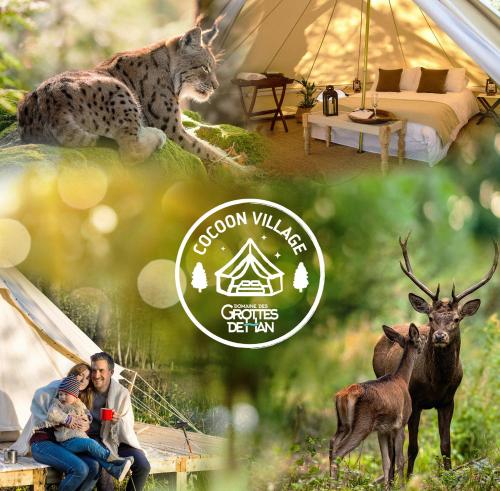 Cocoon Village - Glamping - Domaine des Grottes de Han - Camping - Rochefort