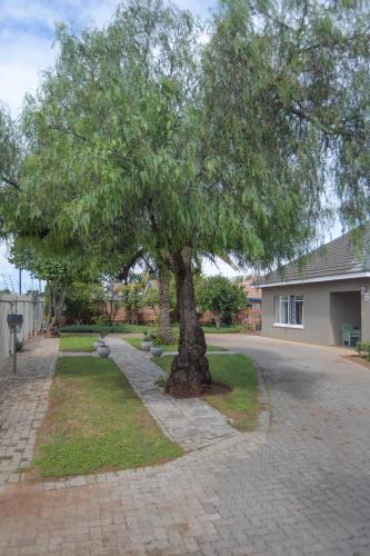 Aed, Carstens Garden Cottages in Kimberley