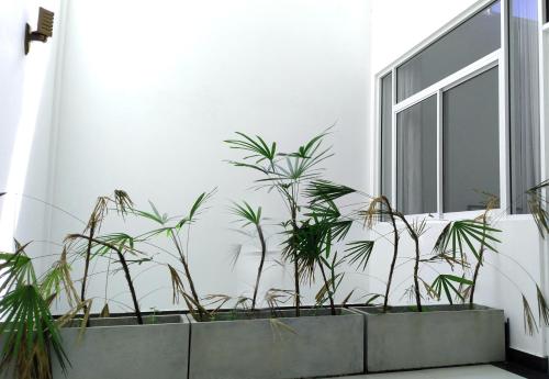 Villa Free Way - image 5