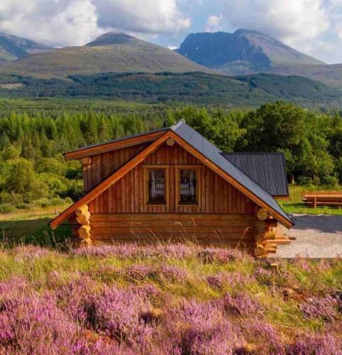 Wild Nurture Eco-Luxury Log Cabin gîte à louer Torlundy